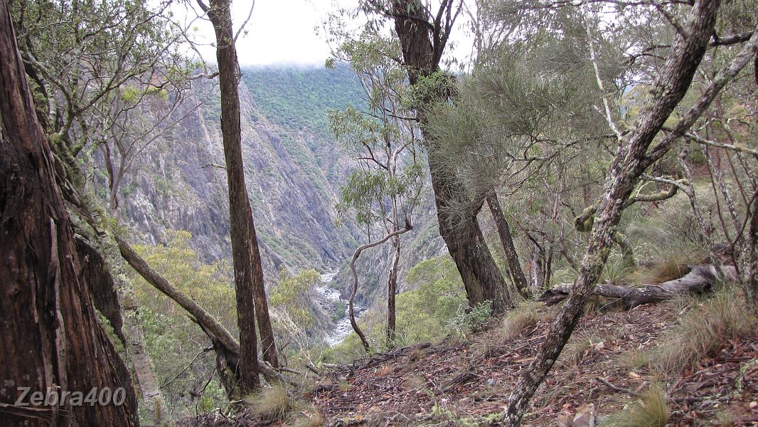 20-Views of the Chandler River in the Oxley Wild Rivers NP.JPG